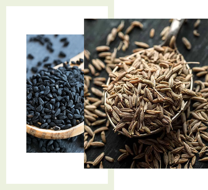 Cumin Seed Manufacturers In Ballari
